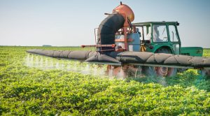 Как найти надежного поставщика семян, средств защиты растений и удобрений: руководство для аграриев