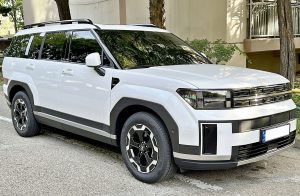 Особенности диагностики Hyundai Santa Fe